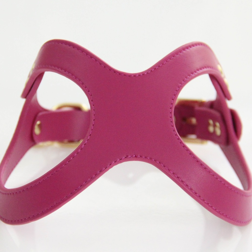 To Beg for Accessories and Treats Premium Vegan Dog Harness Size Medium